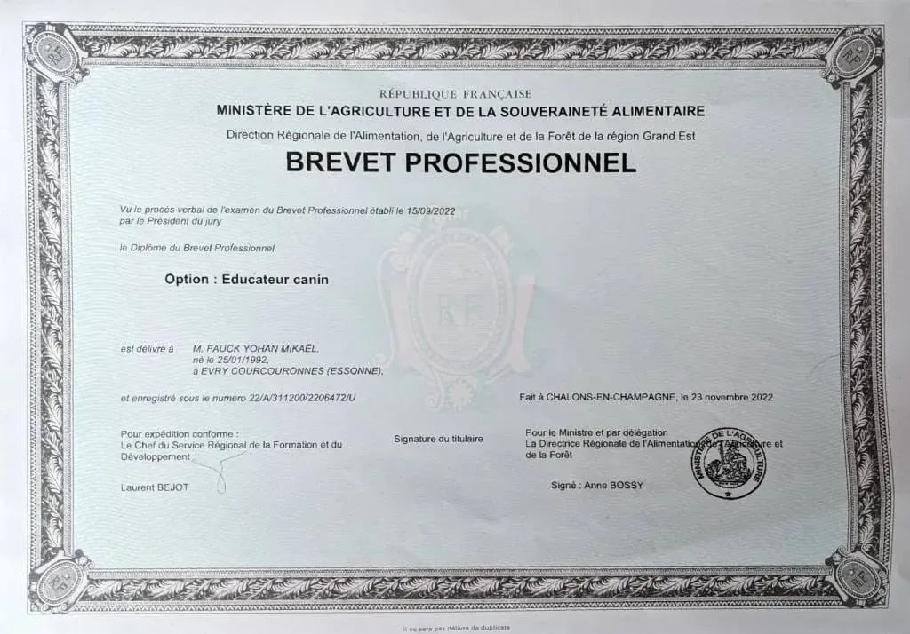 Diplôme du Brevet Professionnel Éducateur Canin de Yohan Fauck, délivré par le ministère de l'Agriculture